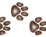 Tiger Paws Wall Stencil