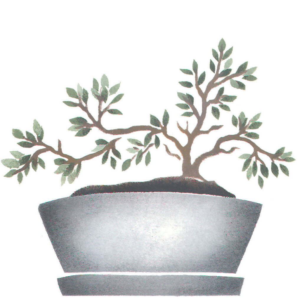bonsai tree stencil Bonsai Tree Wall Stencil by DeeSigns