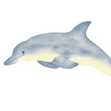 Large Single Dolphin Wall Stencil