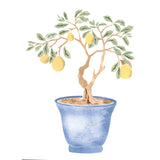 Winterthur Chinese Parlor Lemon Tree Wall Stencil