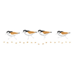 Sandpiper Wall Stencil Border