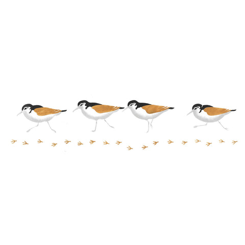 Sandpiper Wall Stencil Border