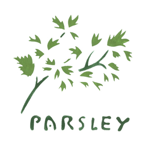Parsley Herb Wall Stencil