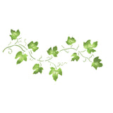 Small Ivy Vine Wall Stencil by Designer Stencils