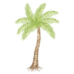 Large Palm Tree Wall Stencil