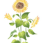 Tall Sunflower Wall Stencil