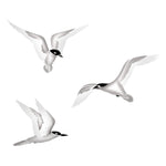 Sea Gulls Wall Stencil