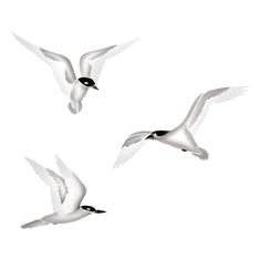 Sea Gulls Wall Stencil