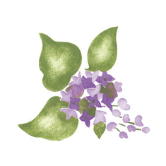 Small Lilac Flower Wall Stencil