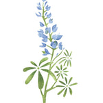 Texas Bluebonnet Flower Stencil by Designer Stencils