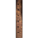 6 Inch Wide Simple Growth Chart Wall Stencil