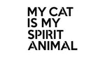 MY CAT IS MY SPIRIT ANIMAL Mantra Craft Stencil