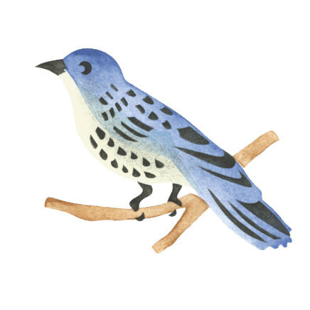 Bluebird Wall Stencil