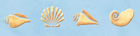 Four Shells Wall Stencil Border