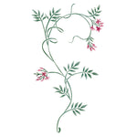 Jasmine Vine Border Wall Stencil by DeeSigns