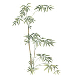 Bamboo Shoots Wall Stencil by DeeSigns