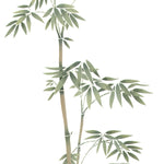 Bamboo Shoots Wall Stencil by DeeSigns
