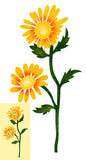 Twin Daisy Flowers Wall Stencil