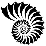 Nautilus Shell Stencil (10 mil plastic)