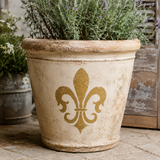 A distressed beige ceramic planter with a gold fleur-de-lis design, filled with green rosemary and displayed on a stone patio.