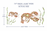 Illustration of a lobster with dimensions labeled on a white background