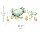 Two green turtles with measurements on a white background