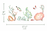 Illustrations of coral, fish, and seaweed with measurements on a white background
