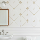 Bathroom with white walls featuring a stenciled Fleur de Lis pattern, sink, and mirror.