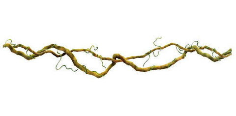 Entwined Vine Wall Stencil by The Mad Stencilist