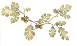 Valley Oak Bough Wall Stencil by The Mad Stencilist