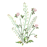 Shepard's Purse Clover Wall Stencil by The Mad Stencilist