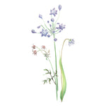Mixed Wildflowers Wall Stencil by The Mad Stencilist