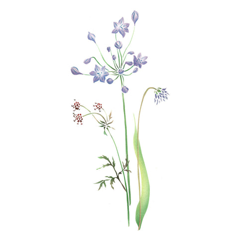 Mixed Wildflowers Wall Stencil by The Mad Stencilist