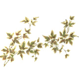 Small Variegated Ivy Wall Stencil by The Mad Stencilist