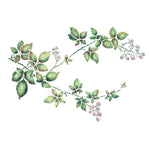 Blackberry Vine Wall Stencil by The Mad Stencilist