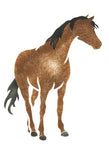 Single Horse Wall Stencil