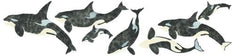 Killer Whales Wall Stencil