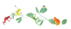 Tree Frogs Wall Stencil