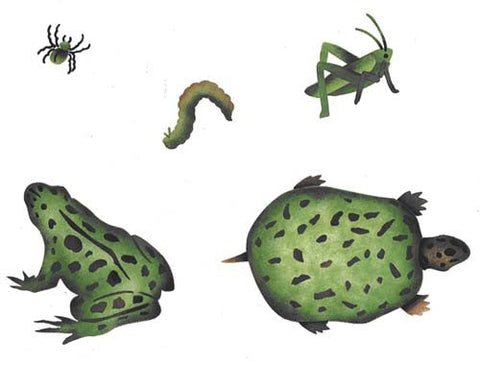 Frog, Turtle, Etc. Wall Stencil