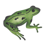 Sitting Frog Wall Stencil