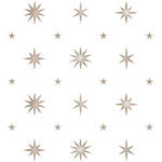 Multi-Sized Star Wallpaper Wall Stencil