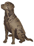 Labrador Retriever Dog Wall Stencil