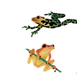 Rainforest Frogs Wall Stencil by The Mad Stencilist