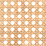 Caned Lattice Allover Wall Stencil