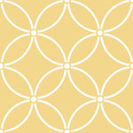 Contemporary Circles Wall Stencil