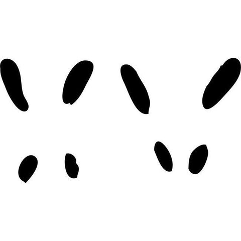 Squirrel Animal Tracks Stencil