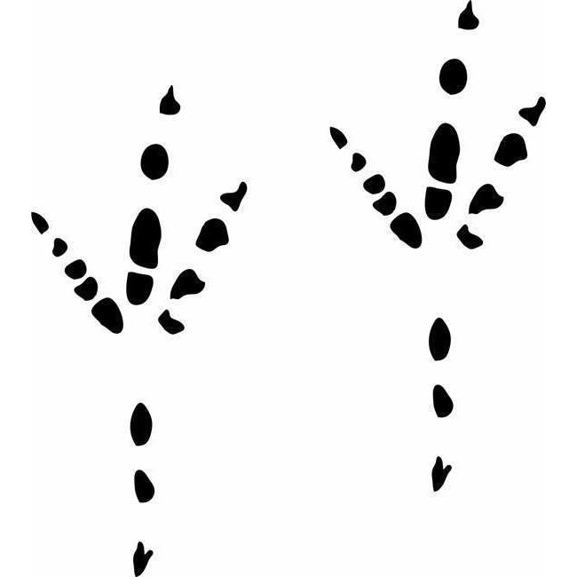 Animal Tracks Stencils, racoons, tigers, and bears, oh my. animal-tracks-stencils-racoons-tigers-and-bears-oh-my