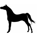 Horse Wall Stencil Stand Still