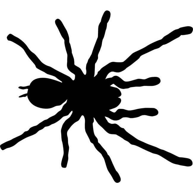 tarantula-spider-stencil