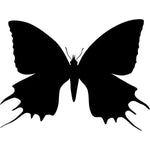 Giant Swallowtail Butterfly Stencil